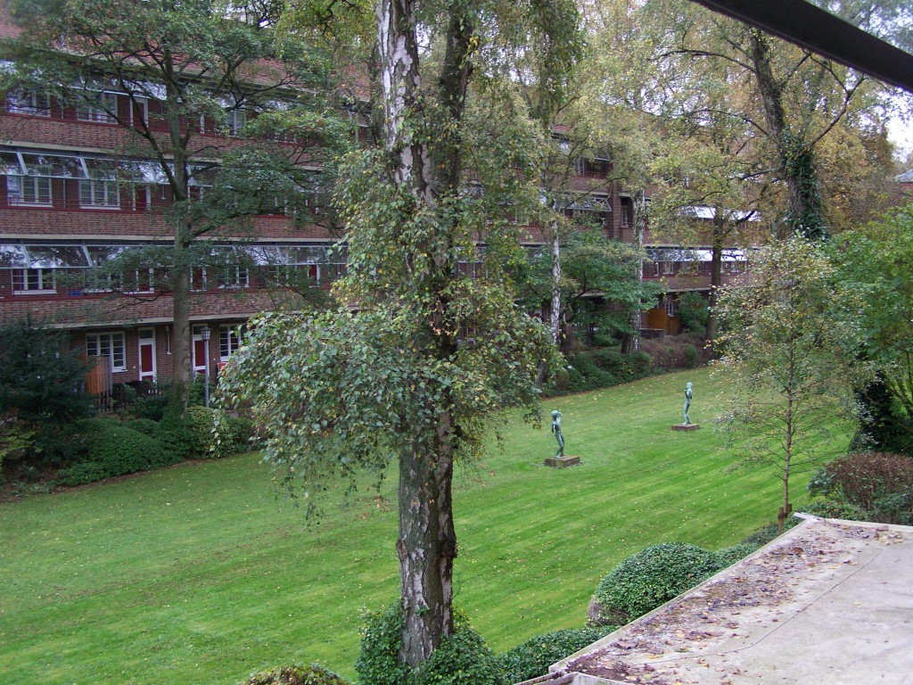 Laube